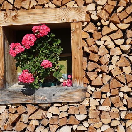 Apartmán Studio Schwarzenauer Alpbach Exteriér fotografie