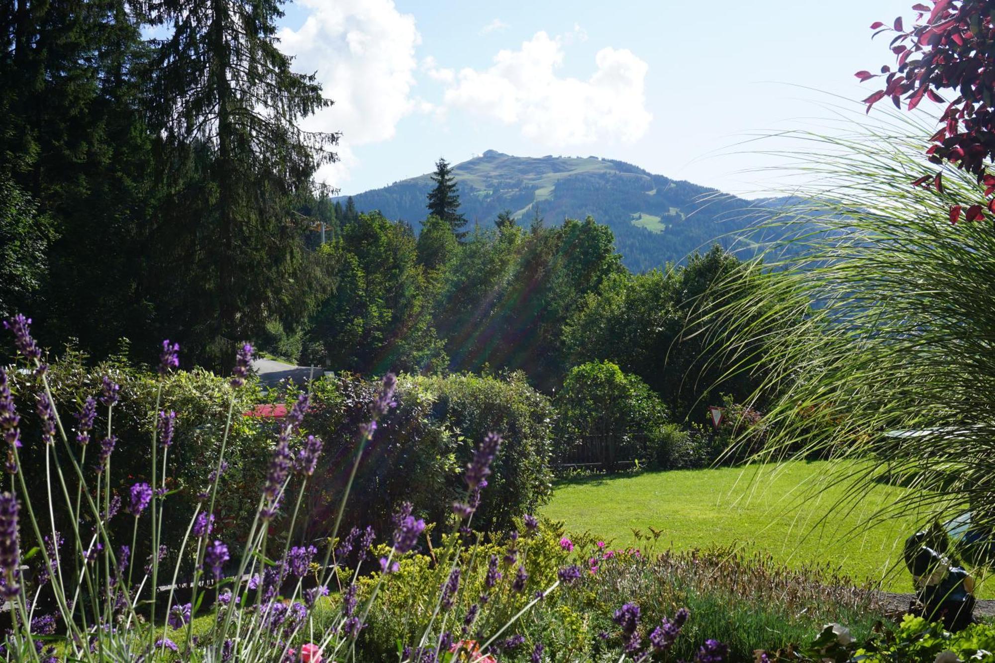 Apartmán Studio Schwarzenauer Alpbach Exteriér fotografie