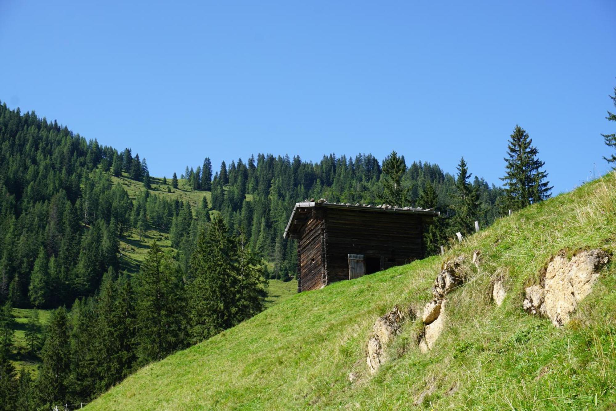 Apartmán Studio Schwarzenauer Alpbach Exteriér fotografie