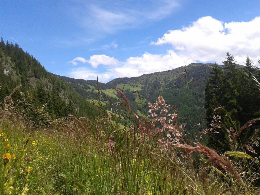 Apartmán Studio Schwarzenauer Alpbach Exteriér fotografie