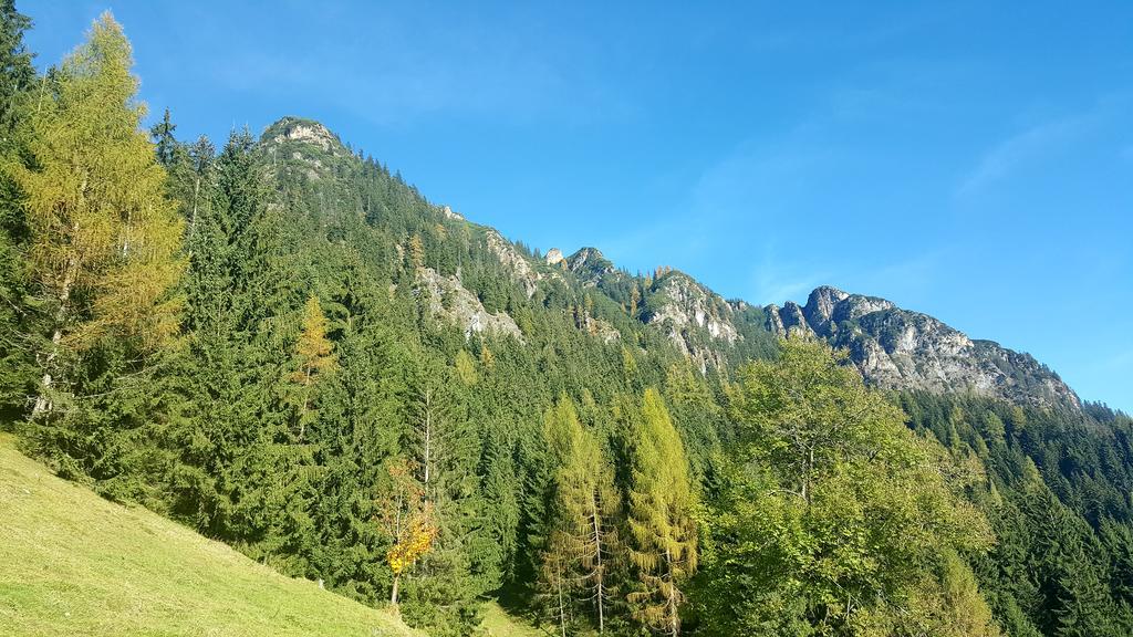 Apartmán Studio Schwarzenauer Alpbach Exteriér fotografie
