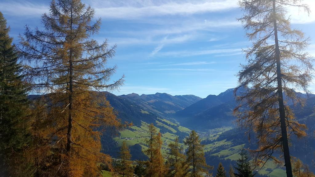 Apartmán Studio Schwarzenauer Alpbach Exteriér fotografie