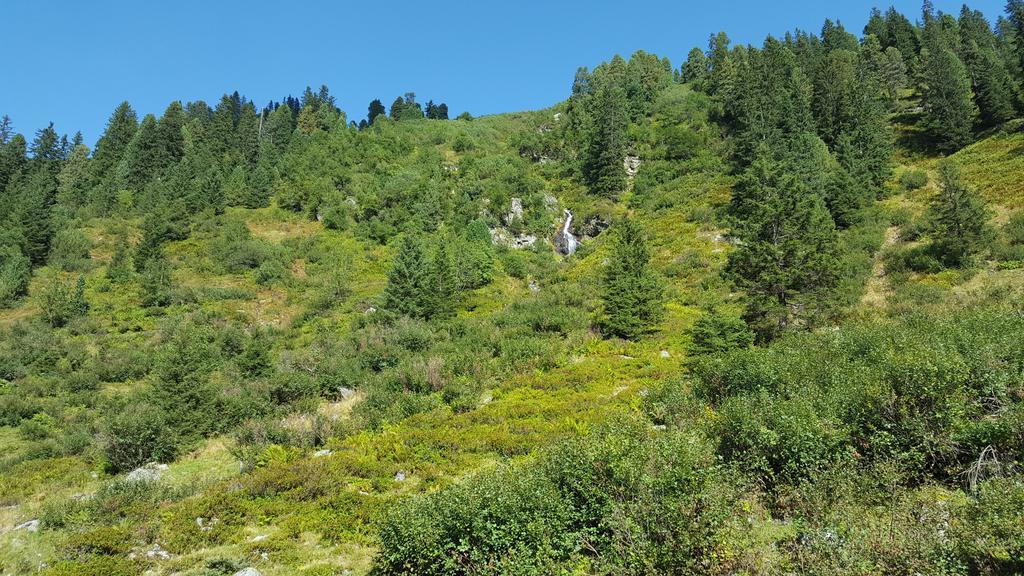 Apartmán Studio Schwarzenauer Alpbach Exteriér fotografie